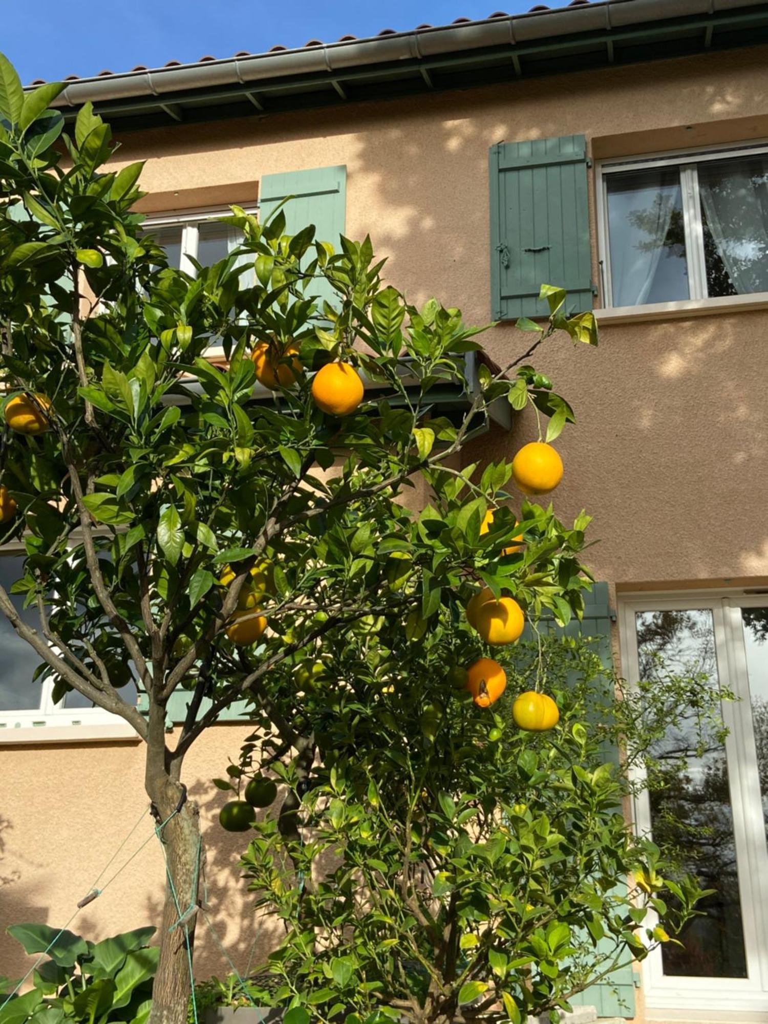 Le Relais Des Malettes Chambres D'Hotes B&B Francheville  Zewnętrze zdjęcie